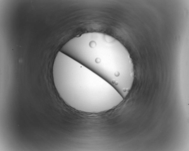X0000088201297200705292024
