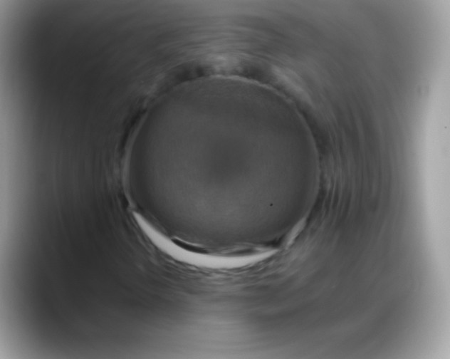 X0000088201298200705292024
