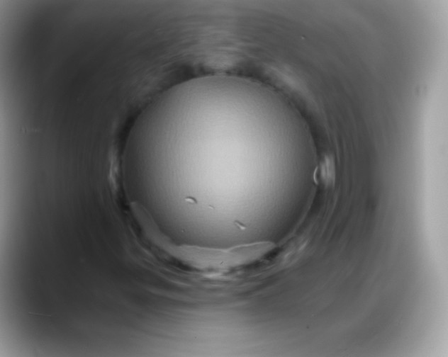 X0000088201299200705292024