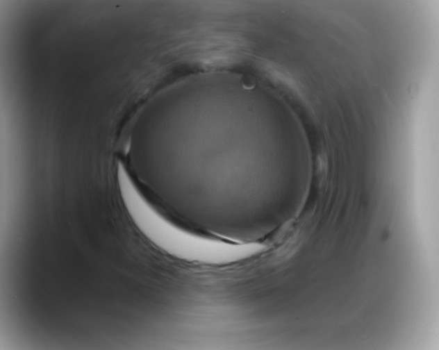 X0000088201300200705292024