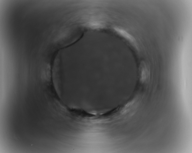 X0000088201301200705292024