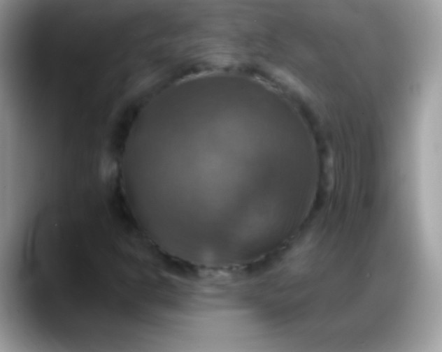 X0000088201302200705292024