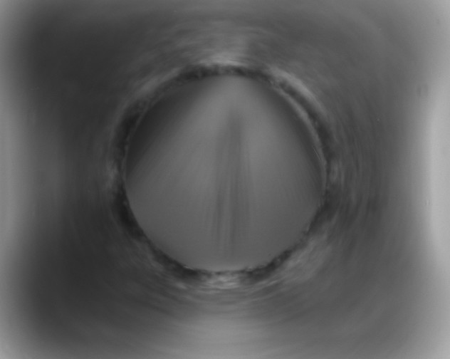 X0000088201303200705292024