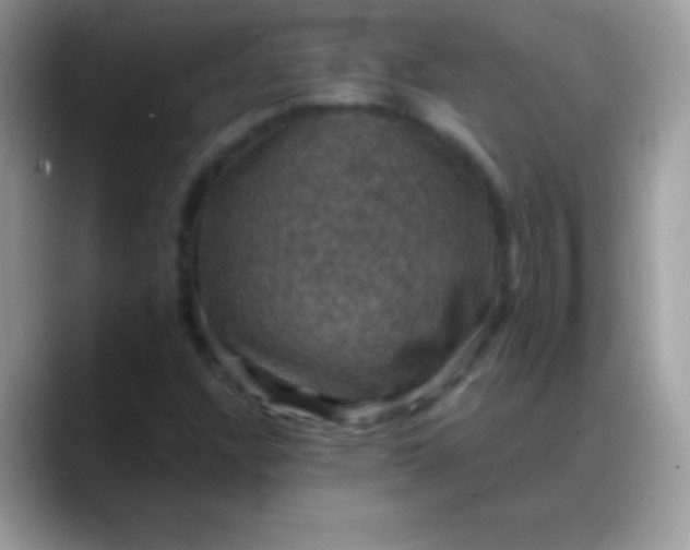 X0000088201304200705292024