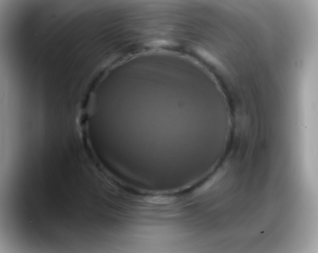 X0000088201305200705292024