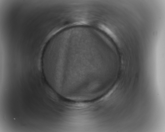 X0000088201308200705292024