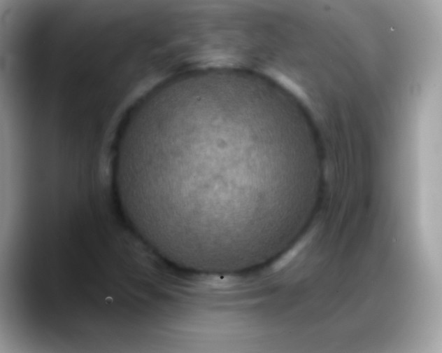 X0000088201309200705292024