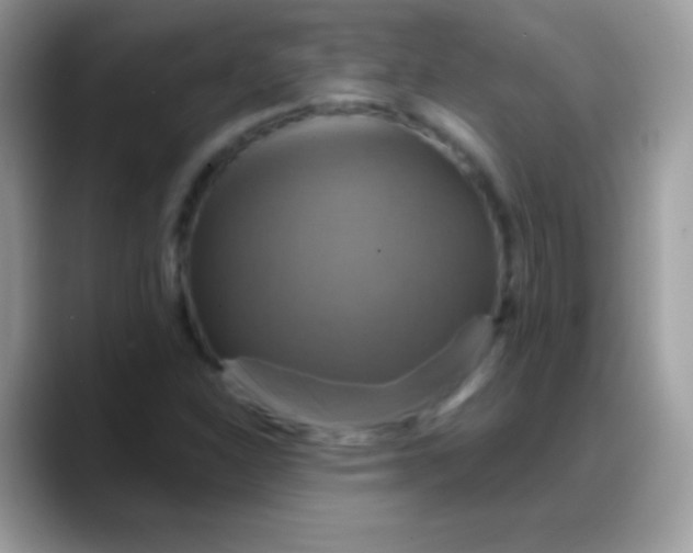 X0000088201310200705292024