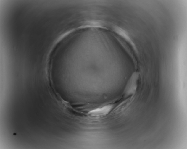 X0000088201312200705292024
