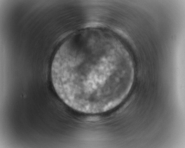 X0000088201313200705292024