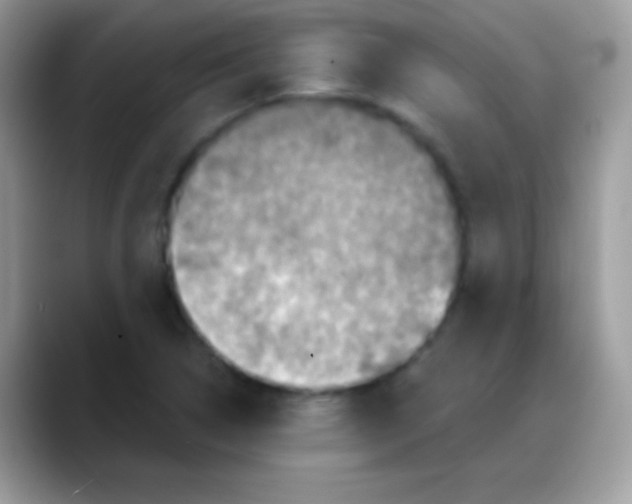 X0000088201314200705292024