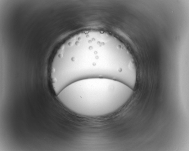 X0000088201315200705292024