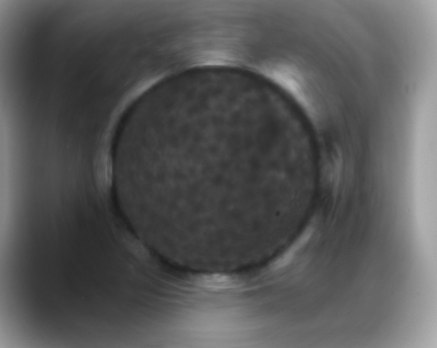 X0000088201317200705292024