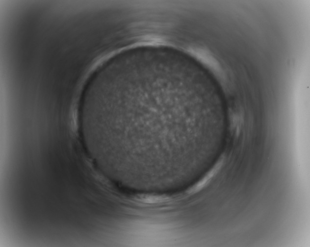 X0000088201318200705292024