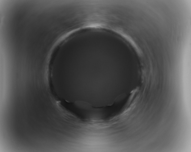 X0000088201319200705292024