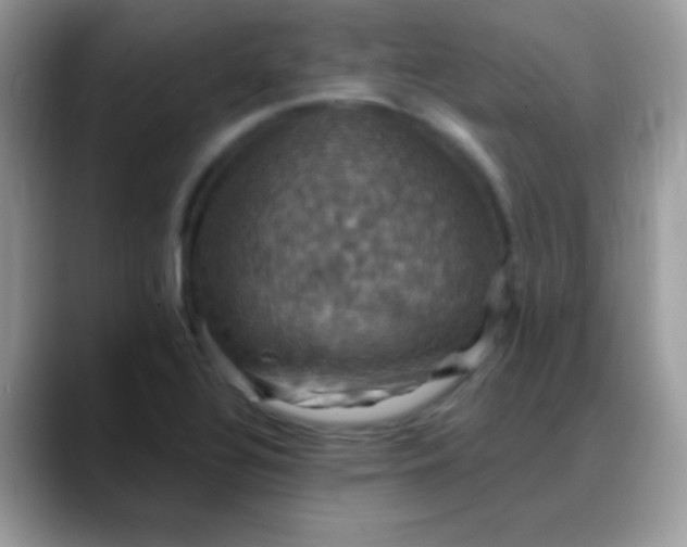 X0000088201320200705292024