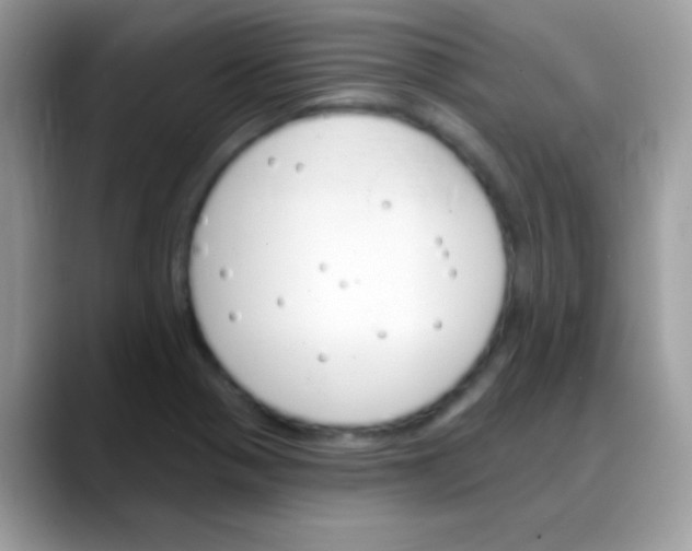 X0000088201321200705292024