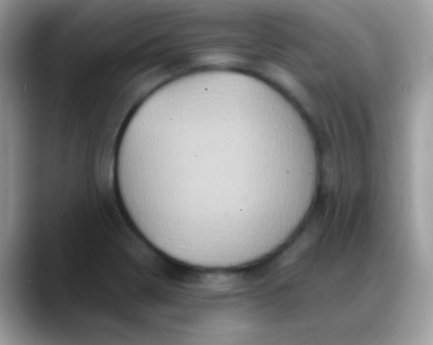 X0000088201322200705292024