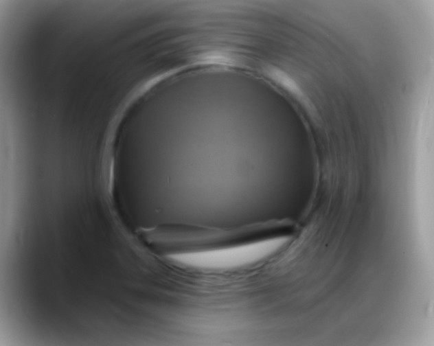 X0000088201323200705292024