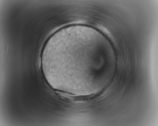 X0000088201324200705292024