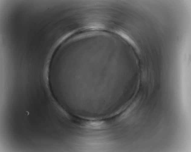 X0000088201325200705292024