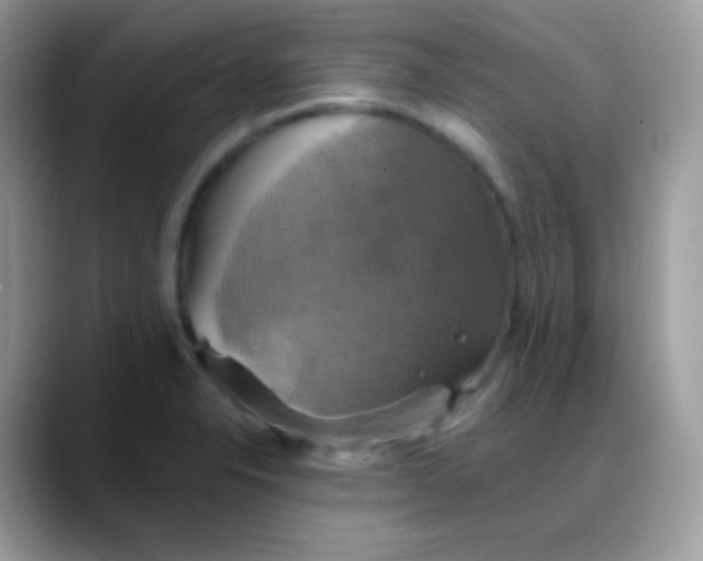 X0000088201326200705292024