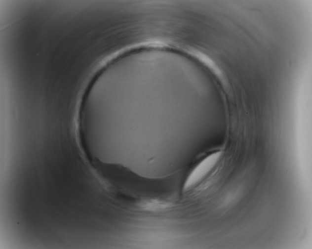 X0000088201327200705292024