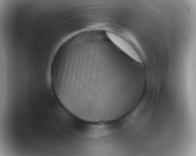 X0000088201328200705292024