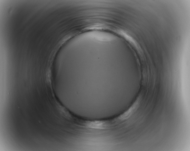X0000088201329200705292025