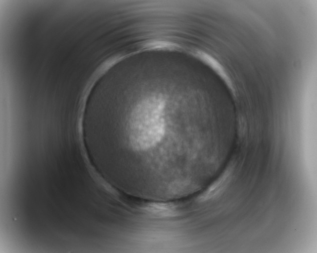 X0000088201330200705292025