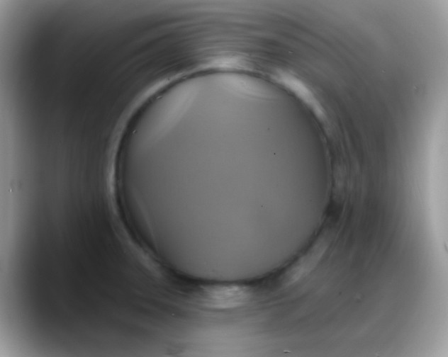 X0000088201331200705292025