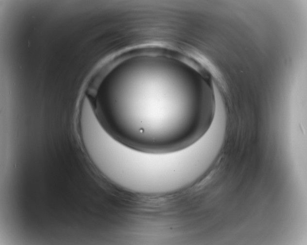 X0000088201332200705292025