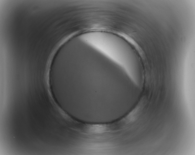 X0000088201333200705292025
