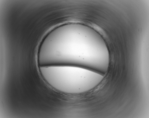 X0000088201334200705292025