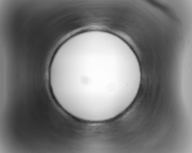 X0000088201335200705292025