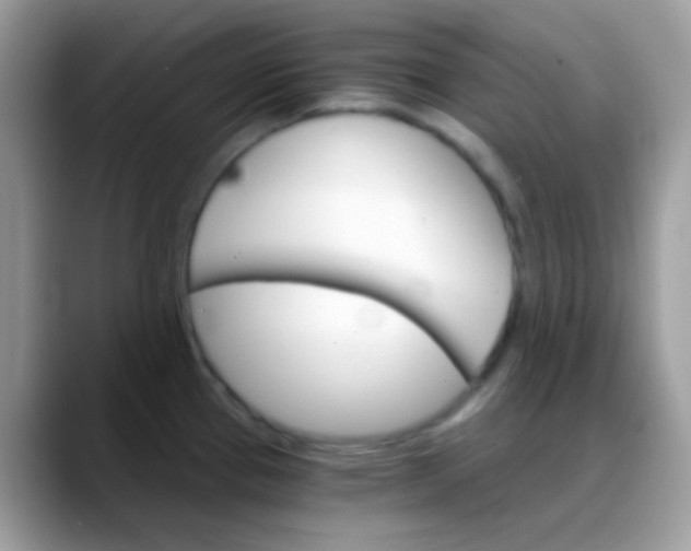 X0000088201337200705292025