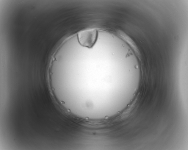 X0000088201338200705292025
