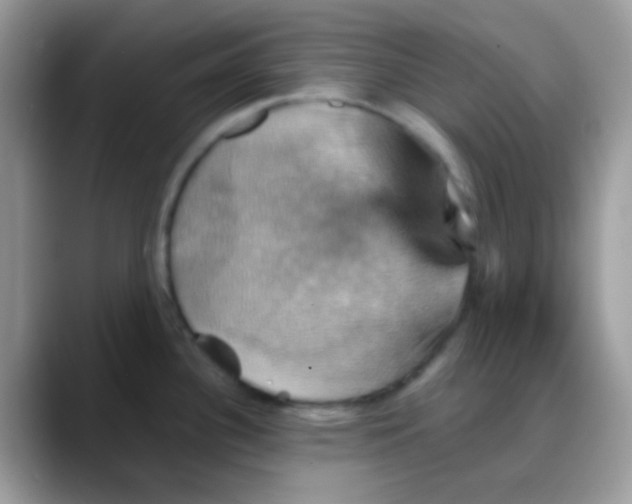 X0000088201340200705292025