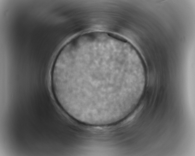 X0000088201341200705292025