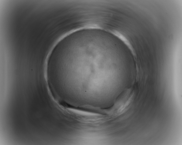 X0000088201342200705292025
