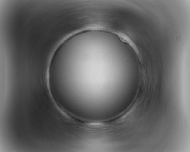X0000088201343200705292025