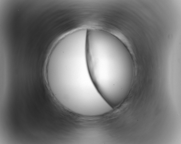X0000088201344200705292025