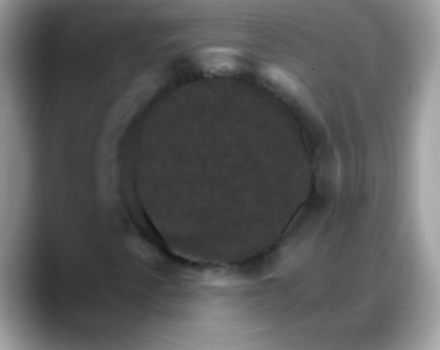 X0000088201345200705292024