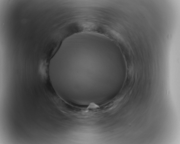 X0000088201346200705292024