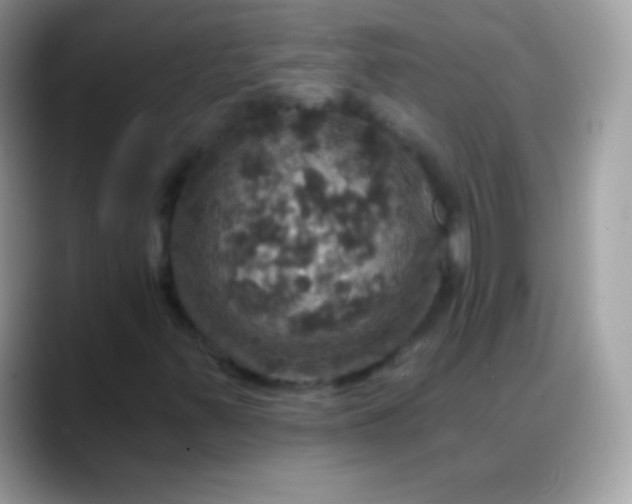 X0000088201347200705292024