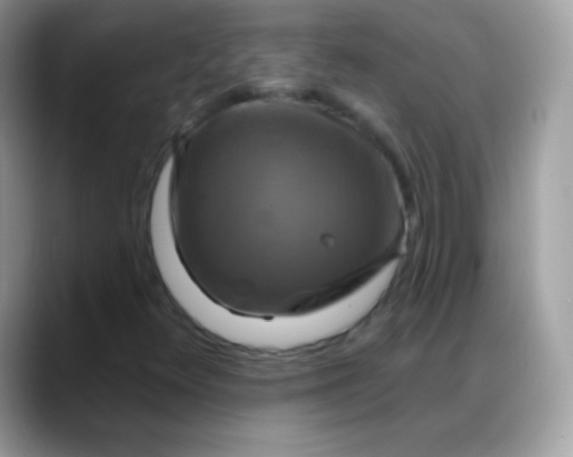 X0000088201348200705292024
