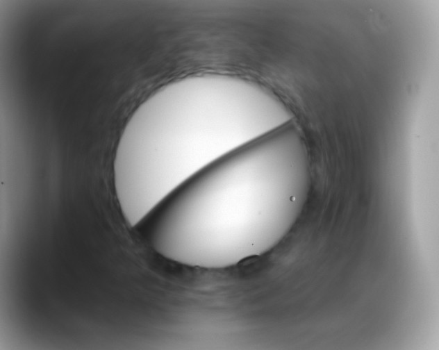 X0000088201349200705292024