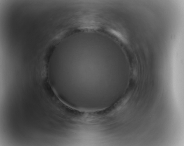 X0000088201350200705292024