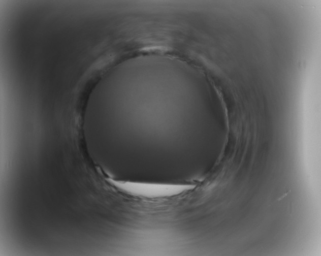 X0000088201351200705292024