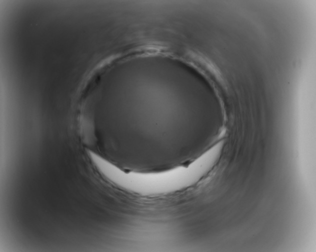 X0000088201352200705292024